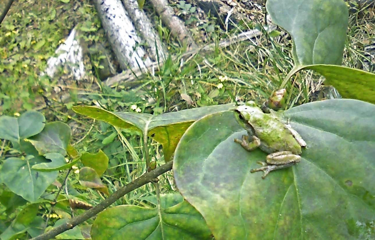 a0119252_108571.jpg
