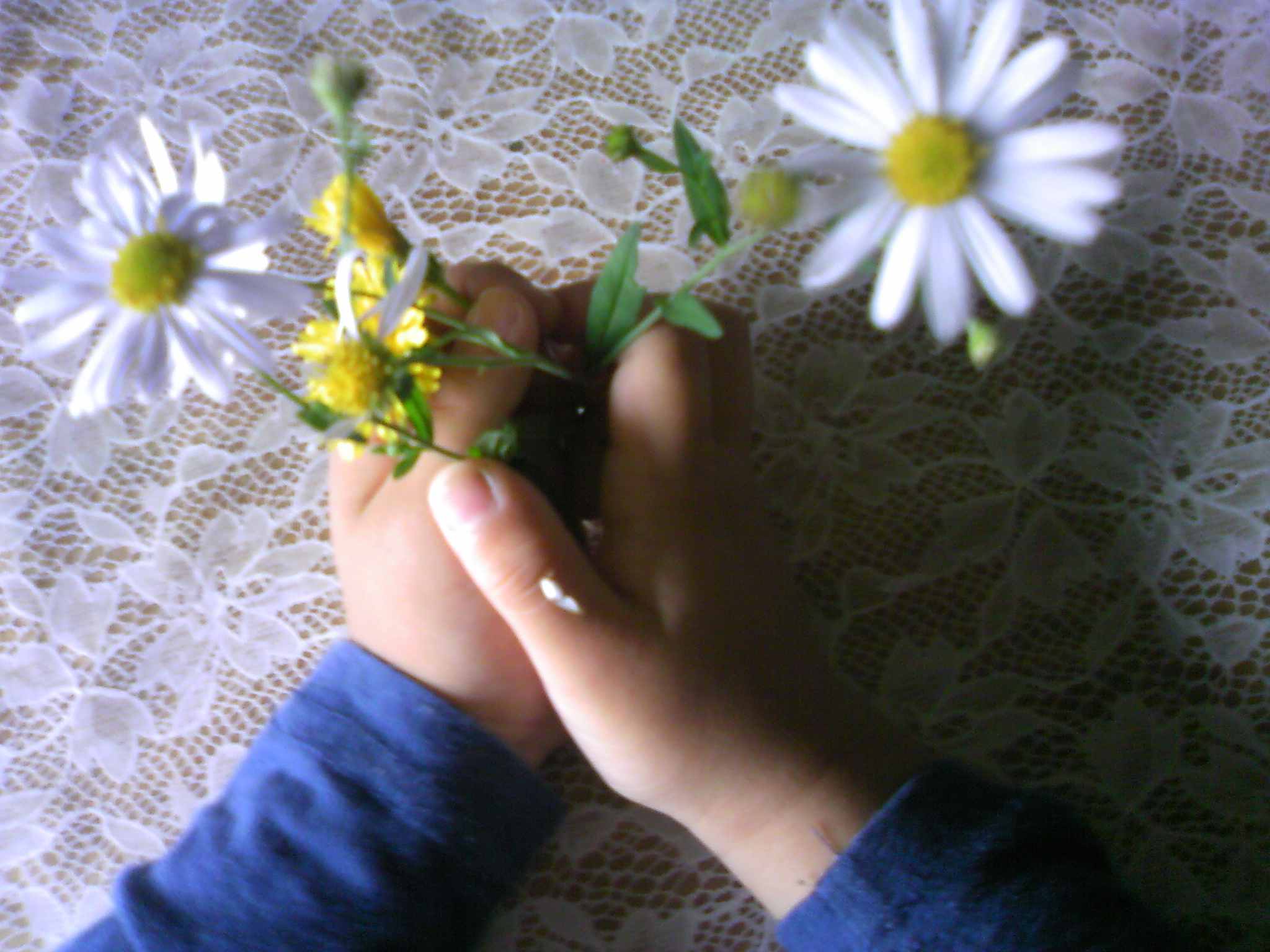 a0119252_1092293.jpg