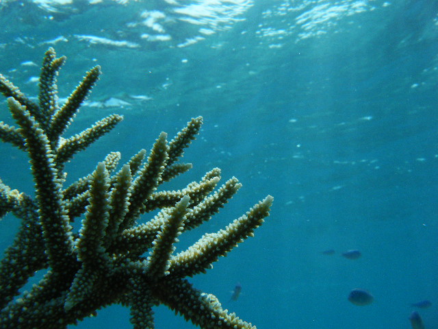 e0134752_2254668.jpg