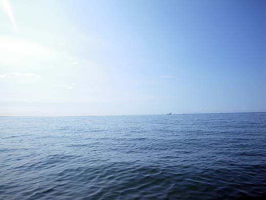 e0050753_17332913.jpg