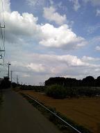 b0098660_16211280.jpg