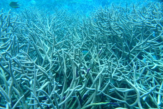 b0062363_228263.jpg
