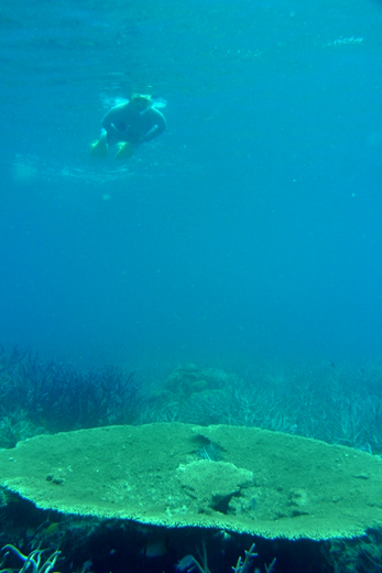 b0062363_2283870.jpg