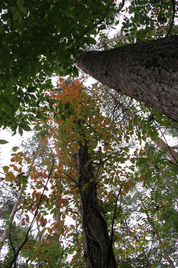 f0107364_18182833.gif