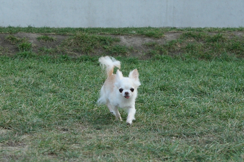 a0016775_21582072.jpg