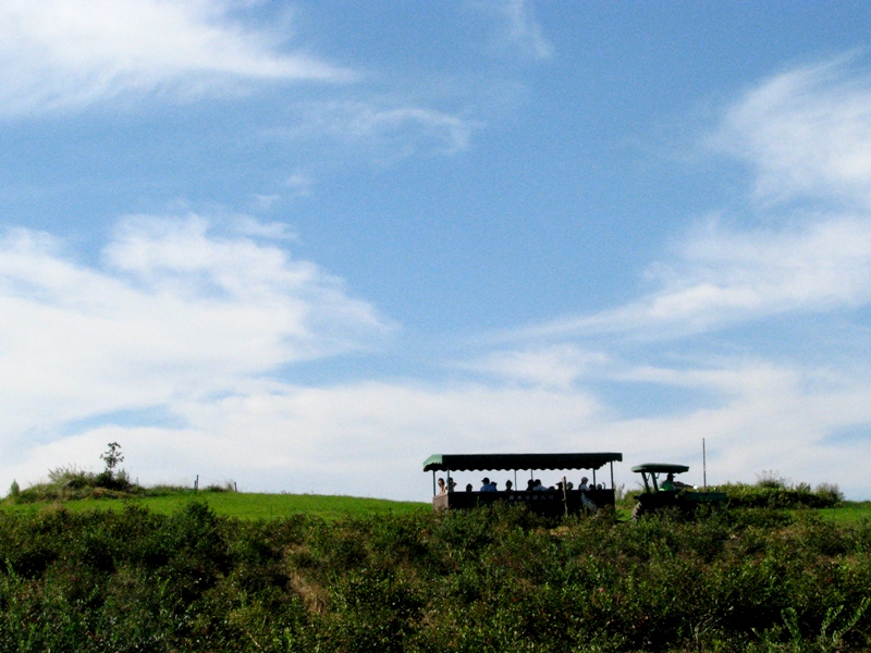 d0126577_234458.jpg