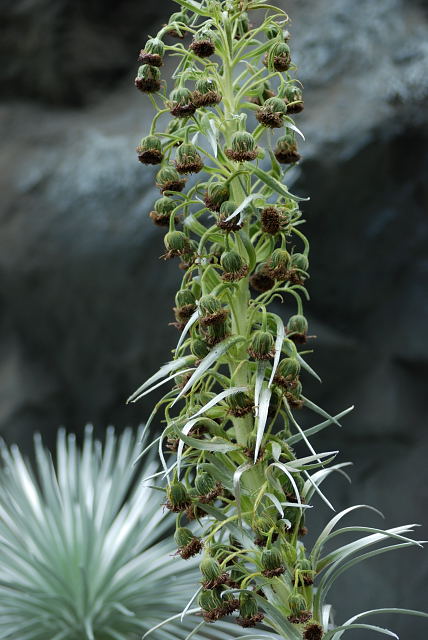 f0108478_21141014.jpg