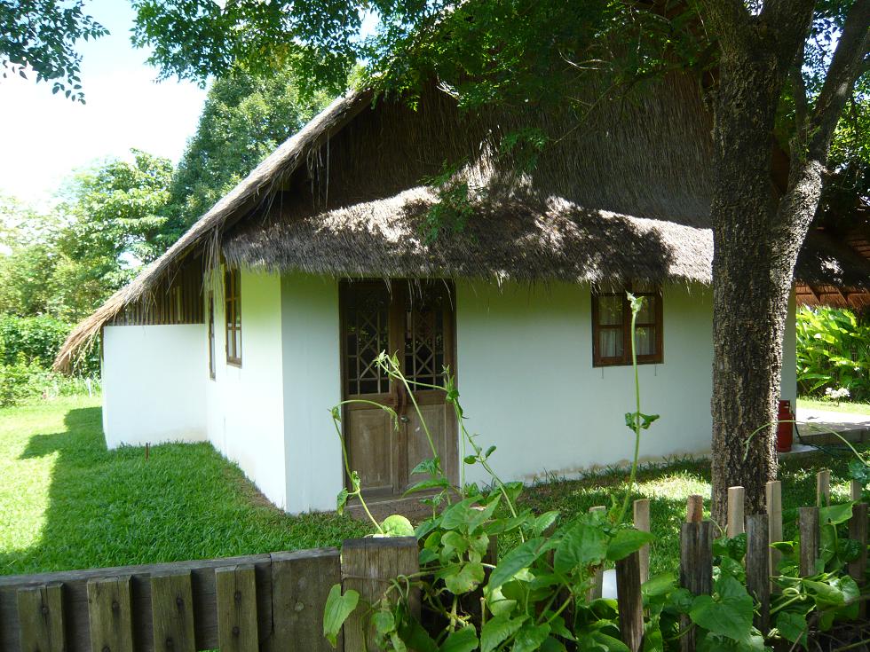 f0178278_844374.jpg