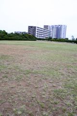 b0034381_73614.jpg