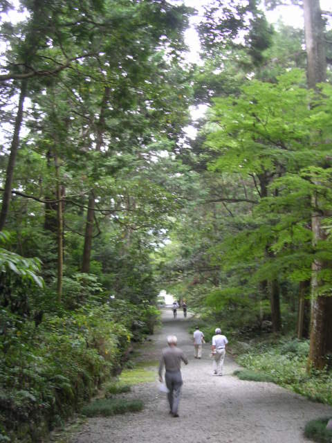 d0142182_2005120.jpg