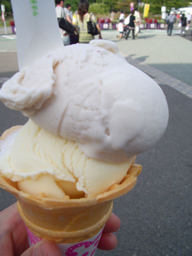 c0144683_20121539.jpg