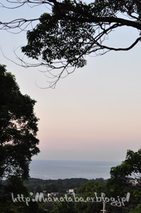 c0051385_0232884.jpg