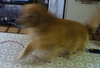 e0026586_12574342.jpg