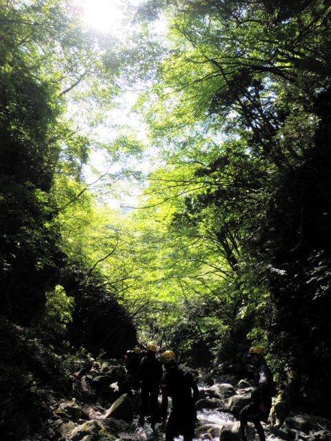 f0087787_14505113.jpg