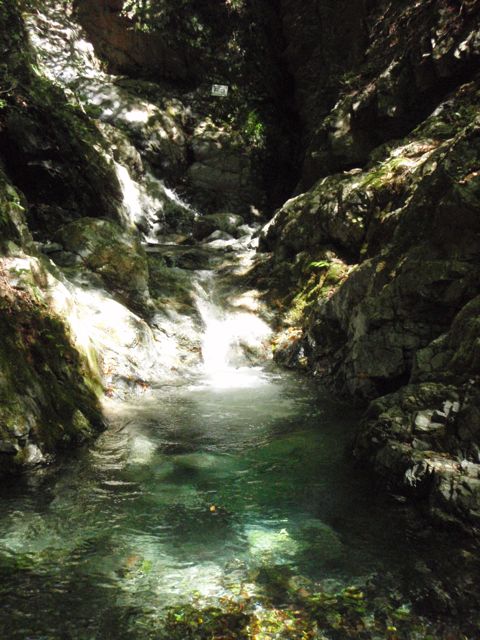 f0087787_1450893.jpg