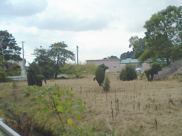 c0087392_2123567.jpg