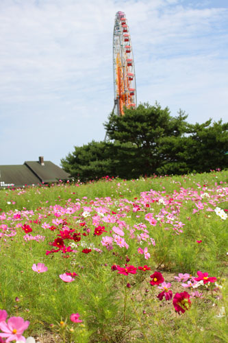 b0142393_20221366.jpg