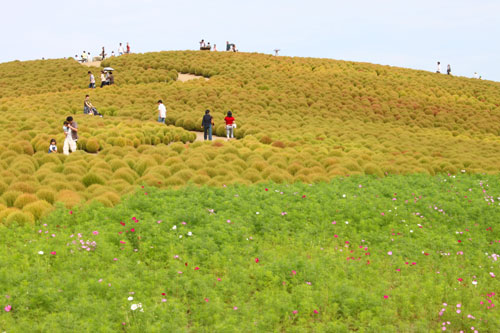 b0142393_20232832.jpg