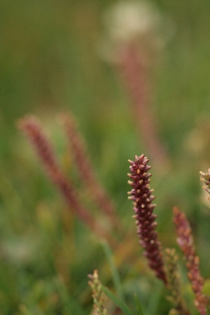 d0133693_4195236.jpg
