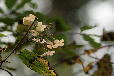 d0133693_4251054.jpg