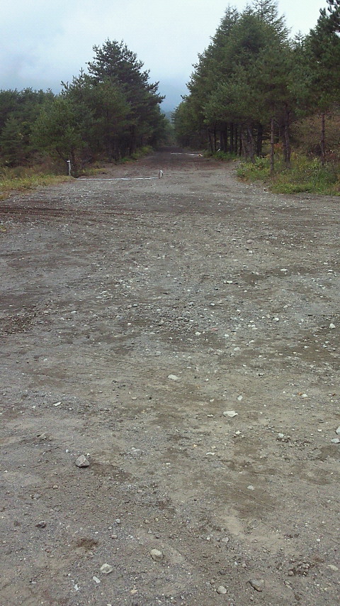 b0189996_2149366.jpg