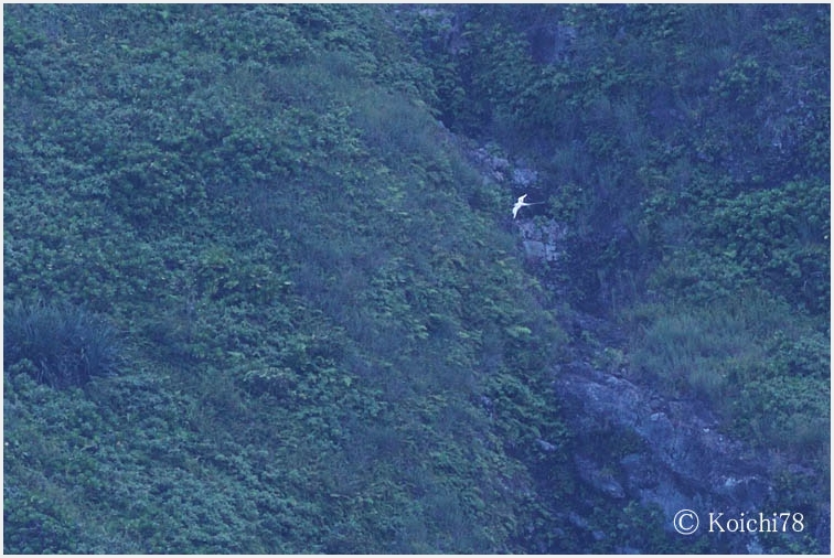 c0035296_942207.jpg