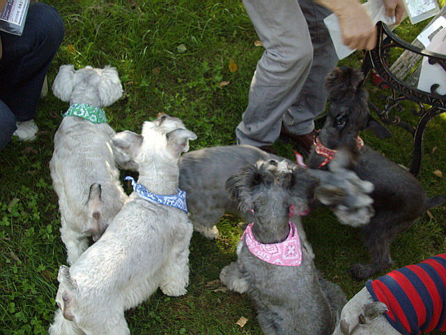 c0138198_1573324.jpg