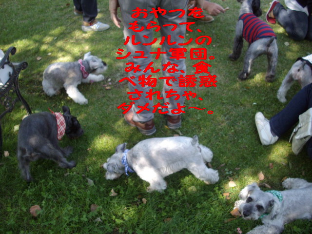 c0138198_1582915.jpg