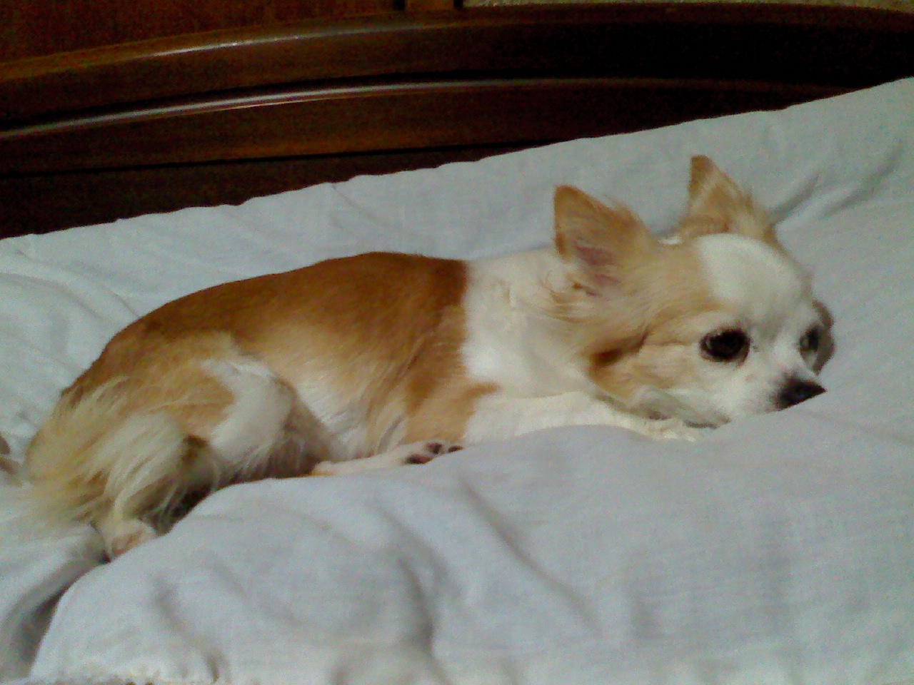 a0133999_218898.jpg