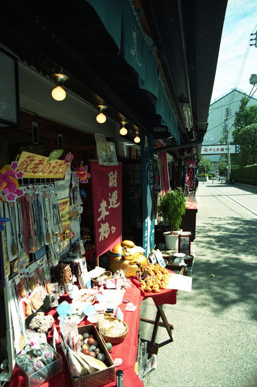 d0119505_5542331.jpg