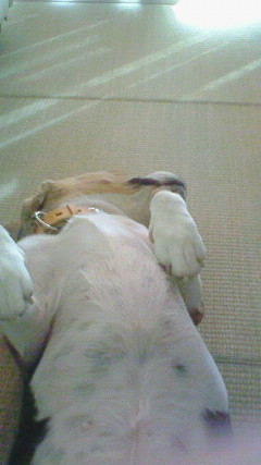 c0205806_1846129.jpg