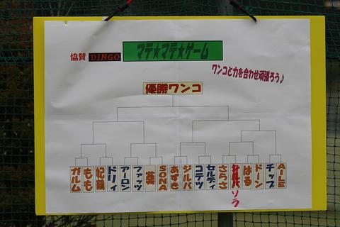 e0100007_21302249.jpg