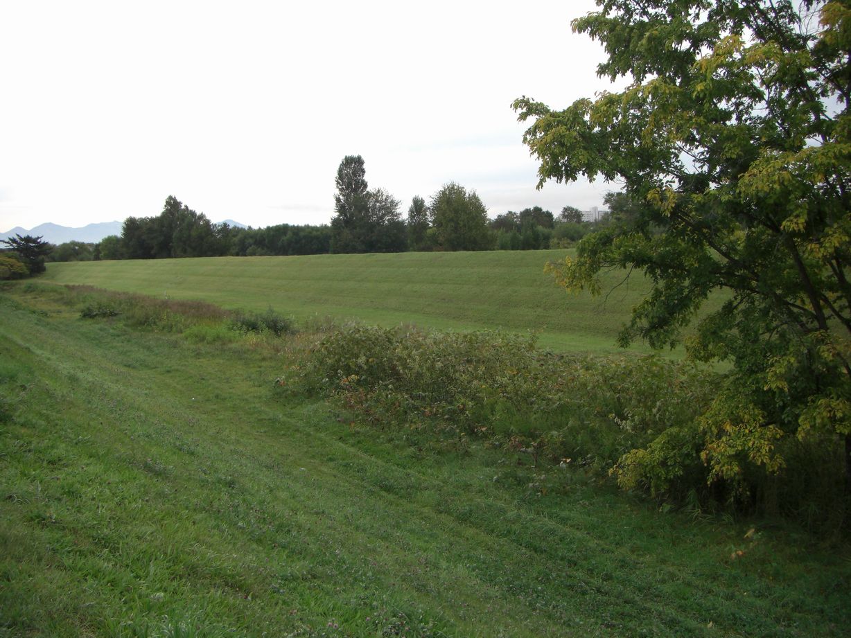 a0114508_115770.jpg