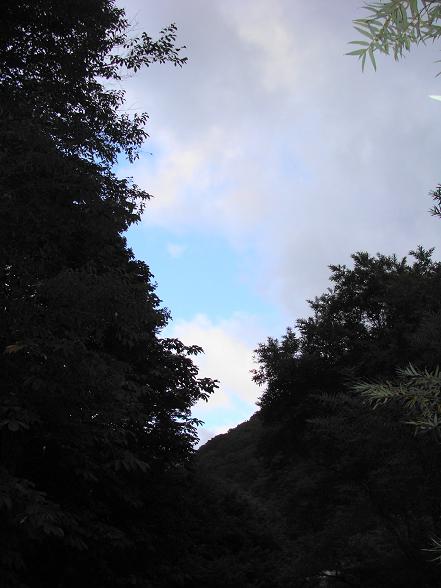 e0123808_23205745.jpg
