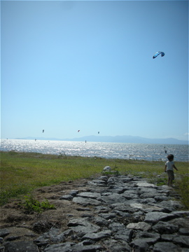 c0145209_22365596.jpg