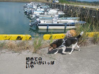 d0104209_19495537.jpg