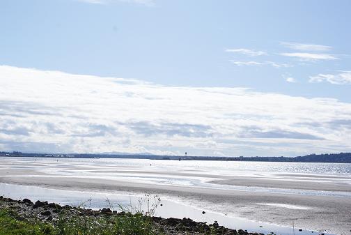 e0090610_7325548.jpg
