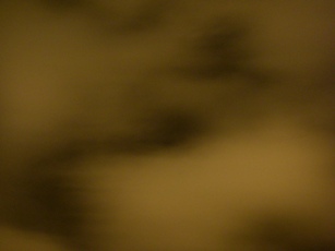 f0133814_5384673.jpg