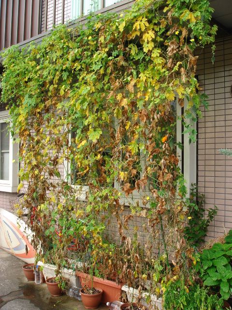 b0131618_1851249.jpg