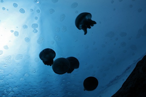 f0117618_0131129.jpg