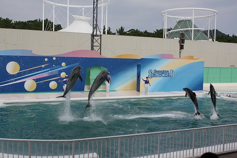 f0117618_042315.jpg