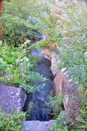 c0059521_184219.jpg