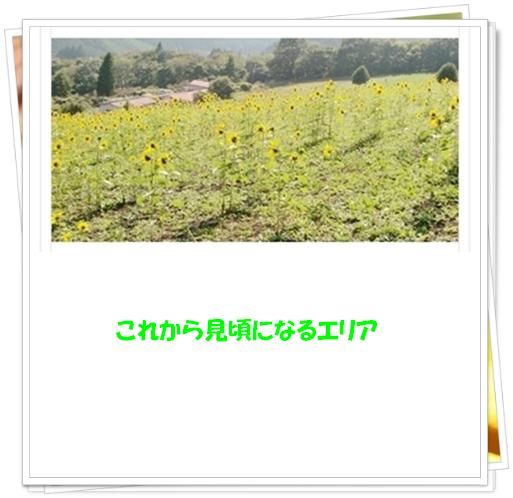 f0182121_8472943.jpg