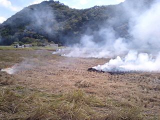 c0038722_1045692.jpg