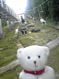 c0147822_2034767.jpg