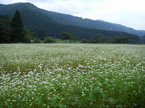 b0150023_2026262.jpg