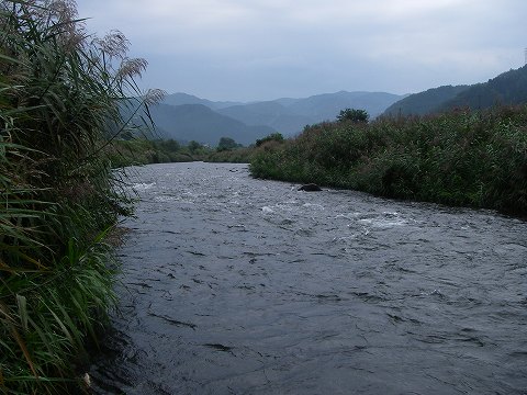 b0150023_20263598.jpg