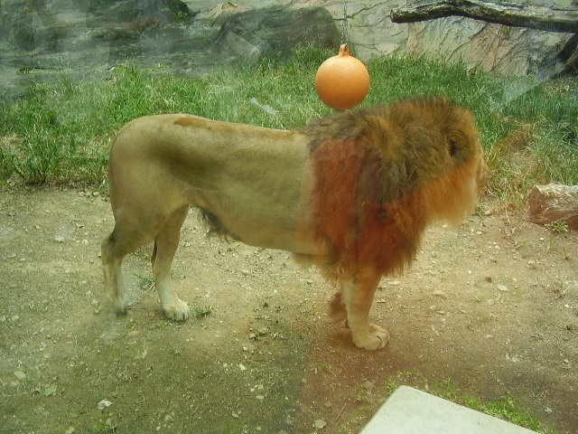 e0181028_11402832.jpg