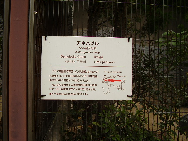 e0181028_11494019.jpg