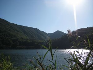 d0064329_20225999.jpg
